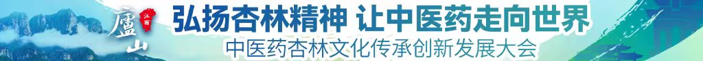 大鸡把插入逼逼中医药杏林文化传承创新发展大会